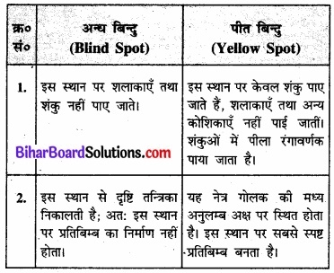 Bihar Board Class 11 Biology Chapter 21 तंत्रिकीय नियंत्रण एवं समन्वय