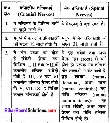 Bihar Board Class 11 Biology Chapter 21 तंत्रिकीय नियंत्रण एवं समन्वय