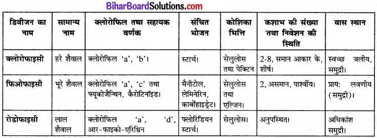 Bihar Board Class 11 Biology Chapter 3 वनस्पति जगत