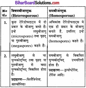 Bihar Board Class 11 Biology Chapter 3 वनस्पति जगत
