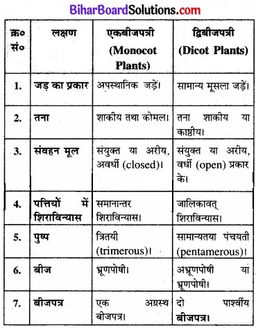 Bihar Board Class 11 Biology Chapter 3 वनस्पति जगत