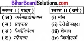 Bihar Board Class 11 Biology Chapter 3 वनस्पति जगत