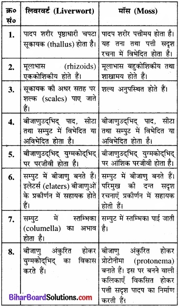 Bihar Board Class 11 Biology Chapter 3 वनस्पति जगत