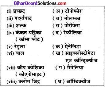 Bihar Board Class 11 Biology Chapter 4 प्राणि जगत 