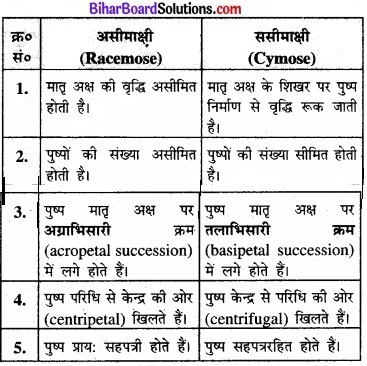 Bihar Board Class 11 Biology Chapter 5 पुष्पी पादपों की आकारिकी 