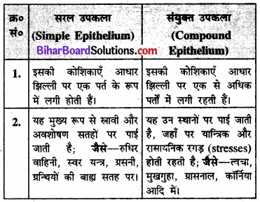 Bihar Board Class 11 Biology Chapter 7 प्राणियों में संरचनात्मक संगठन 
