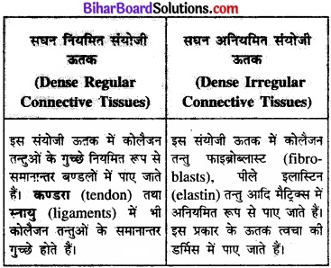 Bihar Board Class 11 Biology Chapter 7 प्राणियों में संरचनात्मक संगठन 