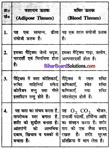 Bihar Board Class 11 Biology Chapter 7 प्राणियों में संरचनात्मक संगठन 