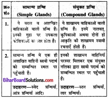 Bihar Board Class 11 Biology Chapter 7 प्राणियों में संरचनात्मक संगठन 