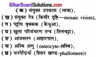 Bihar Board Class 11 Biology Chapter 7 प्राणियों में संरचनात्मक संगठन 
