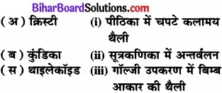 Bihar Board Class 11 Biology Chapter 8 कोशिका जीवन की इकाई 