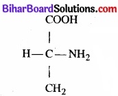 Bihar Board Class 11 Biology Chapter 9 जैव अणु 