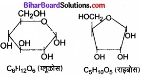 Bihar Board Class 11 Biology Chapter 9 जैव अणु 