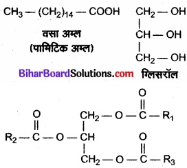 Bihar Board Class 11 Biology Chapter 9 जैव अणु 