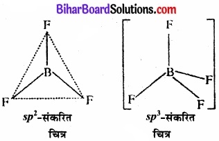 Bihar Board Class 11 Chemistry chapter 11 p-ब्लॉक तत्त्व 