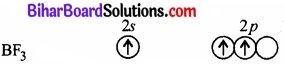 Bihar Board Class 11 Chemistry chapter 11 p-ब्लॉक तत्त्व 