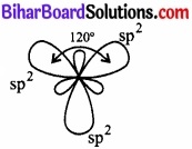Bihar Board Class 11 Chemistry chapter 11 p-ब्लॉक तत्त्व 