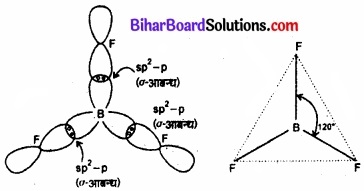 Bihar Board Class 11 Chemistry chapter 11 p-ब्लॉक तत्त्व 