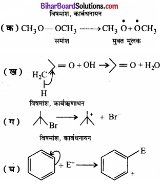 Bihar Board Class 11 Chemistry chapter 12 कार्बनिक रसायन कुछ आधारभूत सिद्धान्त तथा तकनीकें 