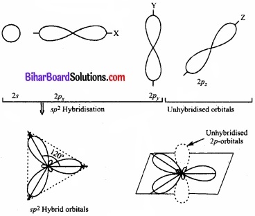 Bihar Board Class 11 Chemistry chapter 4 रासायनिक आबंधन तथा आण्विक संरचना 