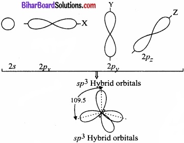 Bihar Board Class 11 Chemistry chapter 4 रासायनिक आबंधन तथा आण्विक संरचना 