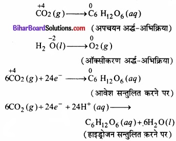 Bihar Board Class 11 Chemistry chapter 8 अपचयोपचय अभिक्रियाएँ 