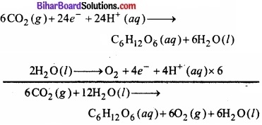 Bihar Board Class 11 Chemistry chapter 8 अपचयोपचय अभिक्रियाएँ 