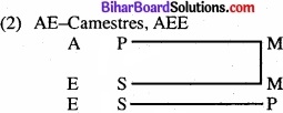 Bihar Board Class 11 Philosiphy chapter 8 निरपेक्ष न्याय 