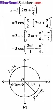 Bihar Board Class 11 Physics Chapter 14 दोलन 