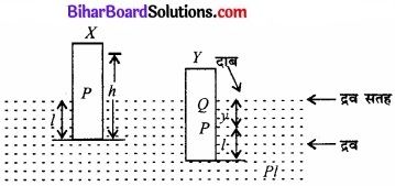 Bihar Board Class 11 Physics Chapter 14 दोलन 