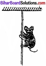 Bihar Board Class 11 Physics Chapter 5 गति के नियम 