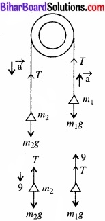 Bihar Board Class 11 Physics Chapter 5 गति के नियम 