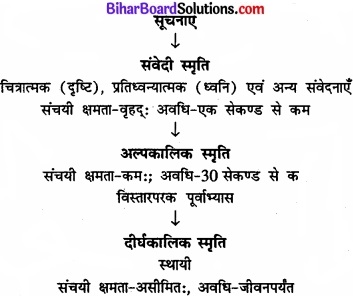Bihar Board Class 11 Psychology Solutions Chapter 7 मानव स्मृति img 2