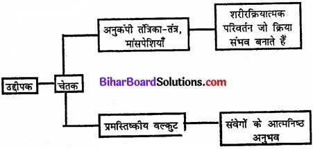Bihar Board Class 11 Psychology Solutions Chapter 9 अभिप्रेरणा एवं संवेग img 1