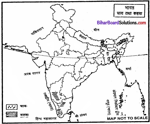 Bihar Board Class 12 Geography Solutions Chapter 5 प्राथमिक क्रियाएँ img 2