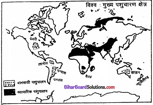 Bihar Board Class 12 Geography Solutions Chapter 5 प्राथमिक क्रियाएँ img 3