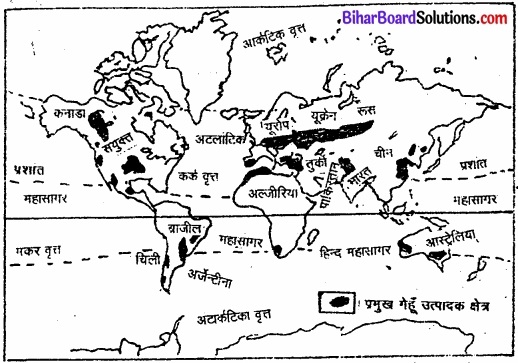 Bihar Board Class 12 Geography Solutions Chapter 5 प्राथमिक क्रियाएँ img 4