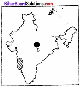 Bihar Board Class 12 Geography Solutions मानचित्र संबंधी प्रश्न एवं उत्तर img 3