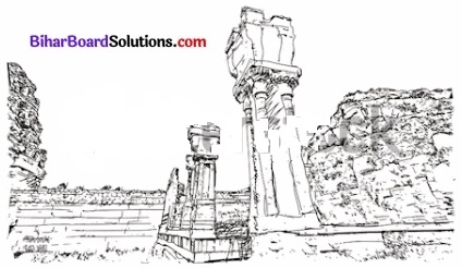 Bihar Board Class 12 History Solutions Chapter 7 एक साम्राज्य की राजधानी विजयनगर img 4