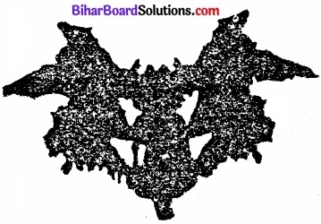 Bihar Board Class 12 Psychology Solutions Chapter 2 आत्म एवं व्यक्तित्व img 2