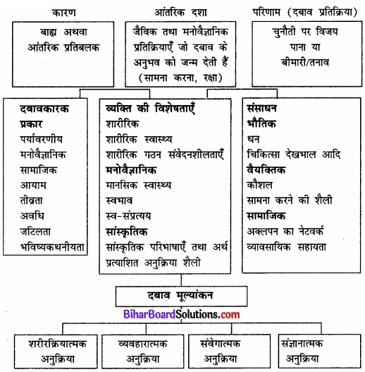 Bihar Board Class 12 Psychology Solutions Chapter 3 जीवन की चुनौतियों का सामना img 3