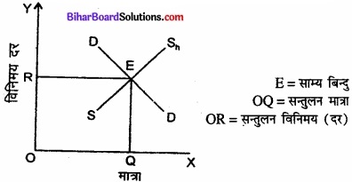 Bihar Board Class 12th Economics Solutions Chapter 6 खुली अर्थव्यवस्था समष्टि अर्थशास्त्र part - 1  img 8