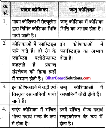 Bihar Board Class 9 Science Solutions Chapter 5 जीवन की मौलिक इकाई