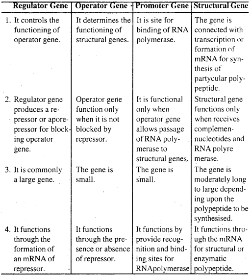 Bihar Board 12th Biology Important Questions Long Answer Type Part 1, 11