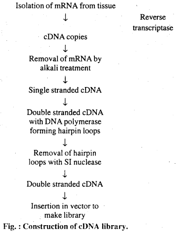 Bihar Board 12th Biology Important Questions Long Answer Type Part 1, 12