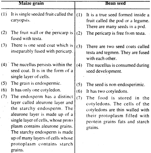 Bihar Board 12th Biology Important Questions Long Answer Type Part 1, 4