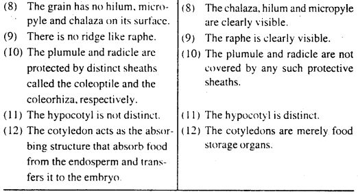 Bihar Board 12th Biology Important Questions Long Answer Type Part 1, 5