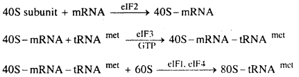Bihar Board 12th Biology Important Questions Long Answer Type Part 1, 8