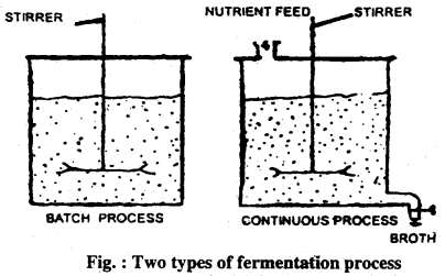 Bihar Board 12th Biology Important Questions Long Answer Type Part 2, 3