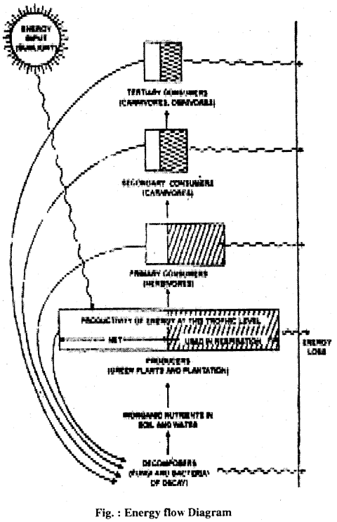 Bihar Board 12th Biology Important Questions Long Answer Type Part 2, 5